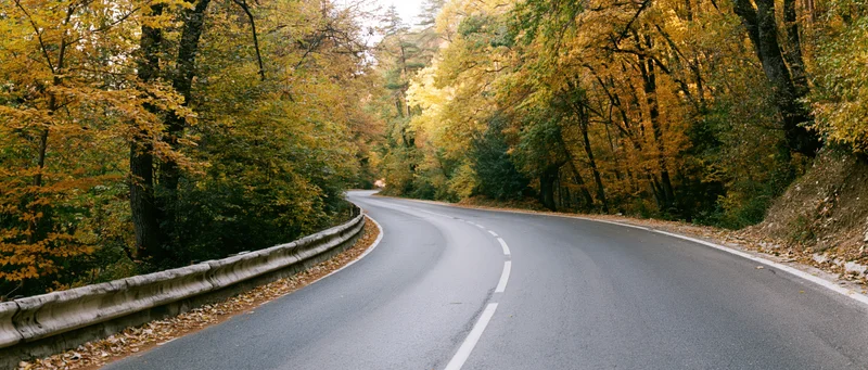 Winding asphalt road curving through autumn forest with golden foliage and guardrail on one side