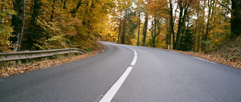 Winding asphalt road curving through autumn forest with fallen leaves and guardrail on side
