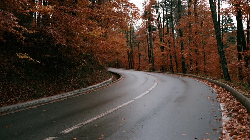 Winding asphalt road curving through autumn forest with fallen leaves on shoulders