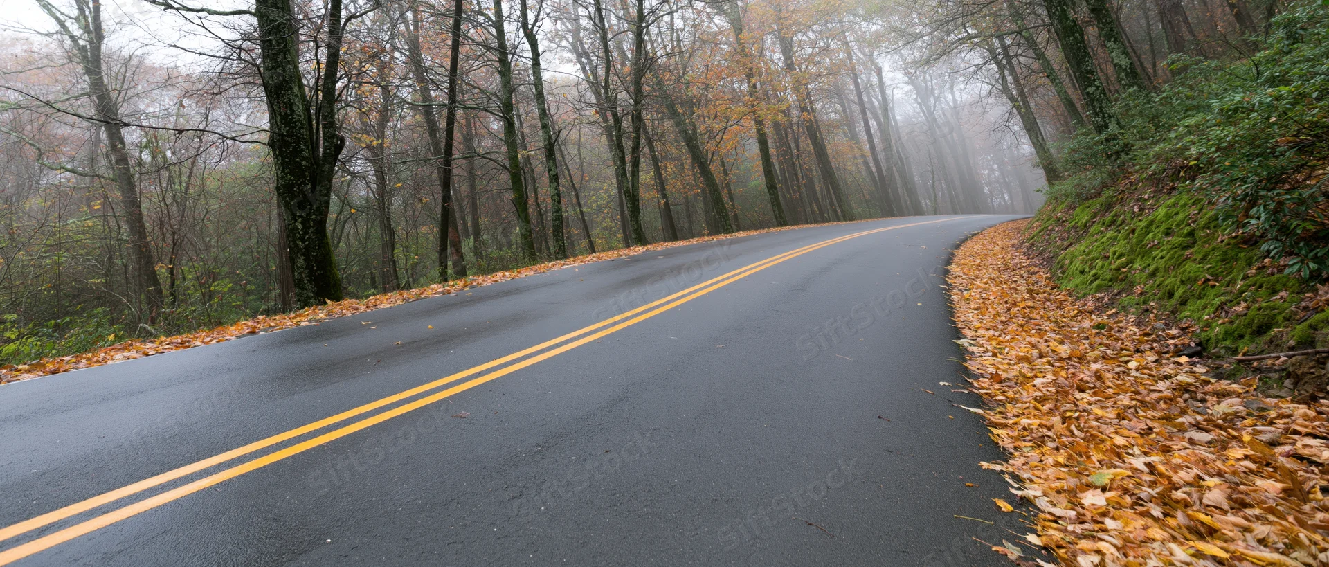 Winding asphalt road curving through a foggy autumn forest with fallen leaves along the edges