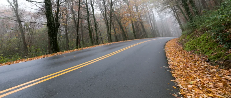 Winding asphalt road curving through a foggy autumn forest with fallen leaves along the edges