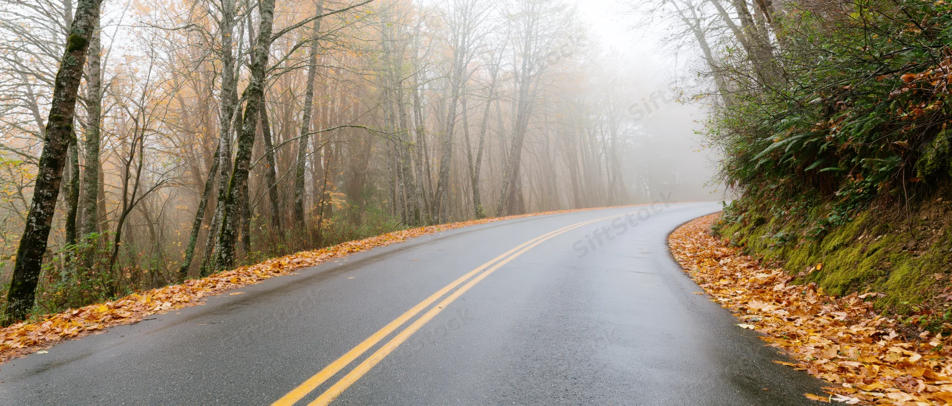 Winding asphalt road curving through foggy autumn forest with fallen leaves on sides
