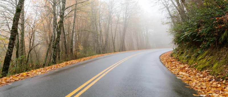 Winding asphalt road curving through foggy autumn forest with fallen leaves on sides