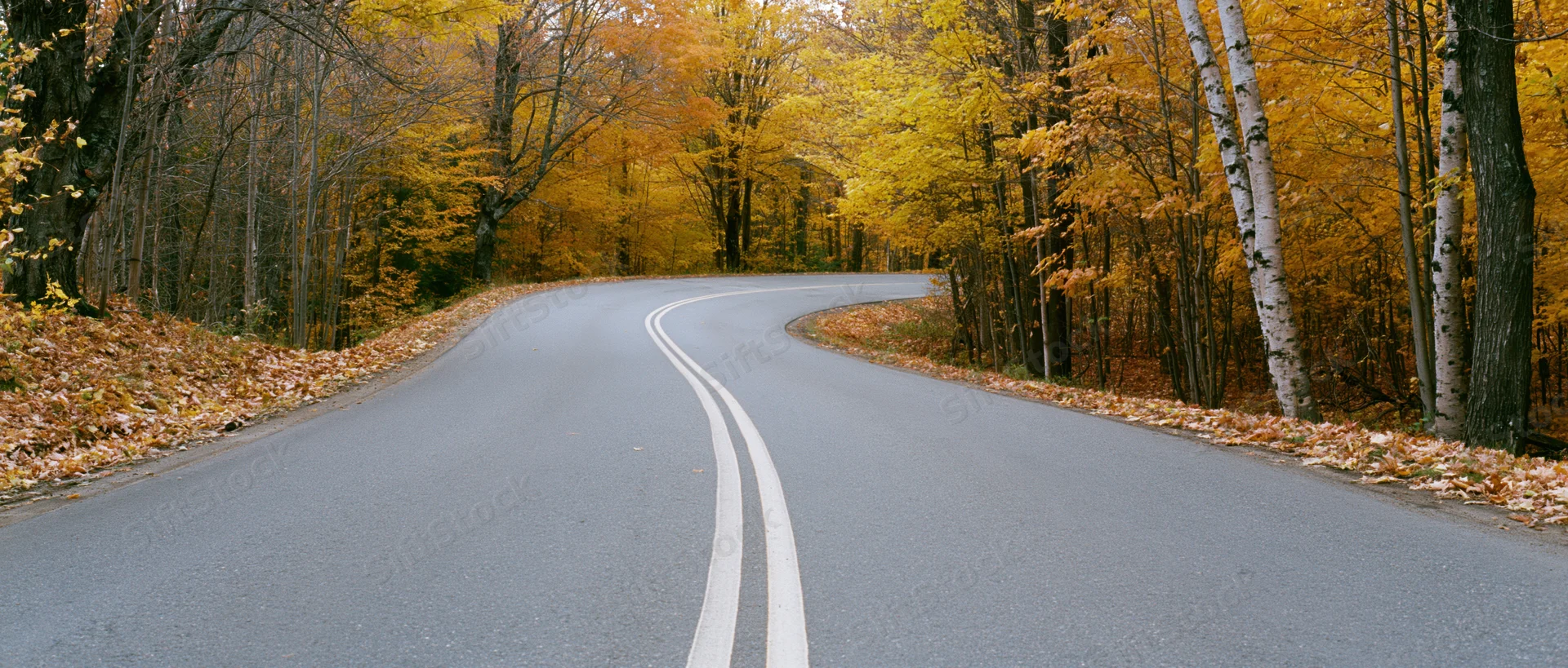 Curved asphalt road winding through autumn forest with yellow foliage and fallen leaves on sides