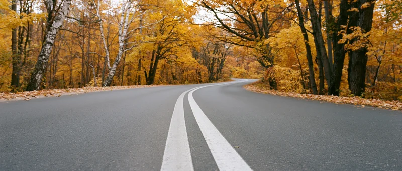 Winding asphalt road curving through autumn forest with yellow foliage and fallen leaves along the sides