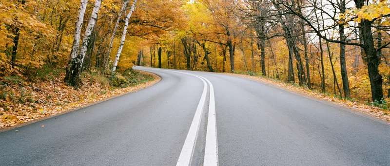 Winding asphalt road curving through autumn forest with yellow foliage and fallen leaves on sides