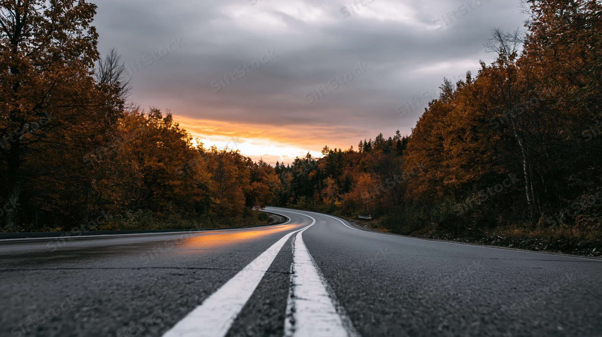 Winding asphalt road curving through autumn forest at sunset