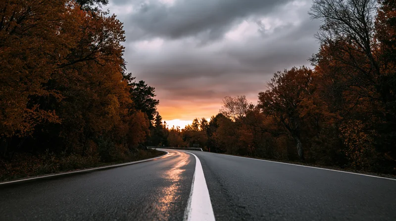Winding asphalt road through autumn forest at sunset