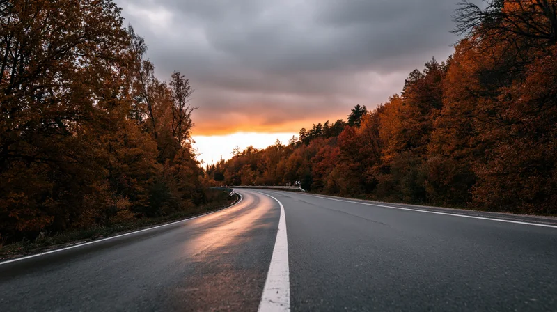 Winding asphalt road curving through autumn forest at sunset