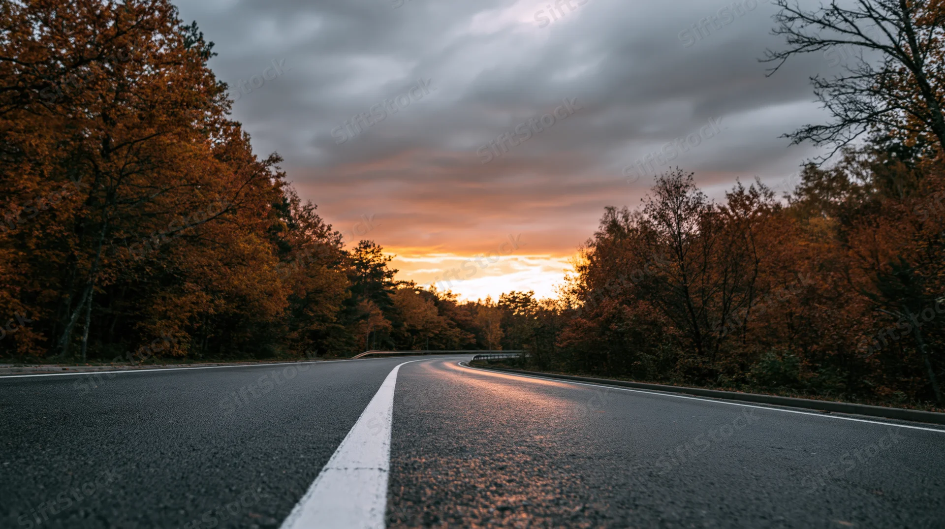 Winding asphalt road through autumn forest at sunset