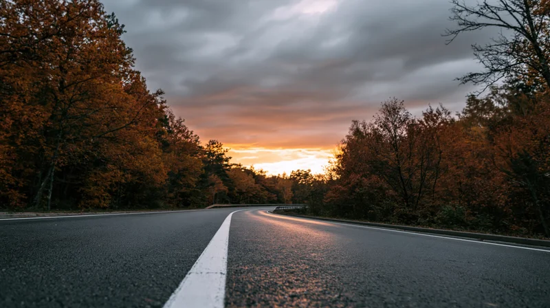 Winding asphalt road through autumn forest at sunset