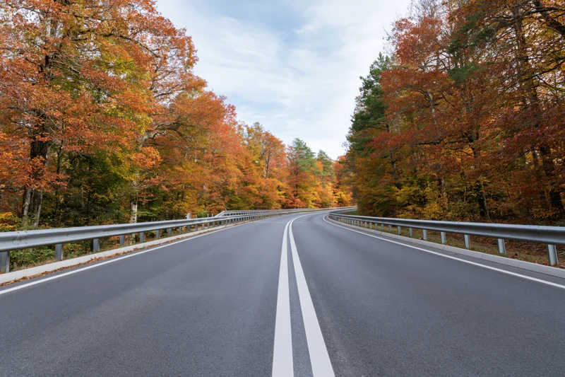 Winding asphalt road curving through autumn forest with colorful foliage on both sides