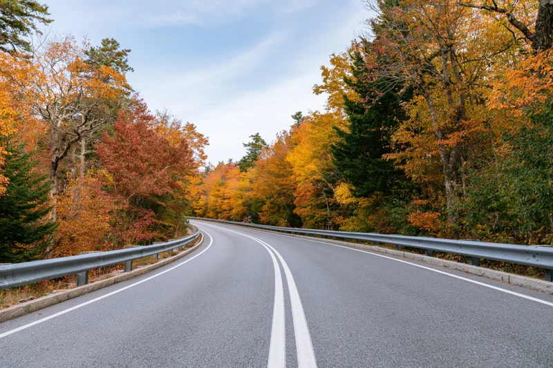 Winding asphalt road curving through autumn forest with colorful foliage and guardrails on both sides