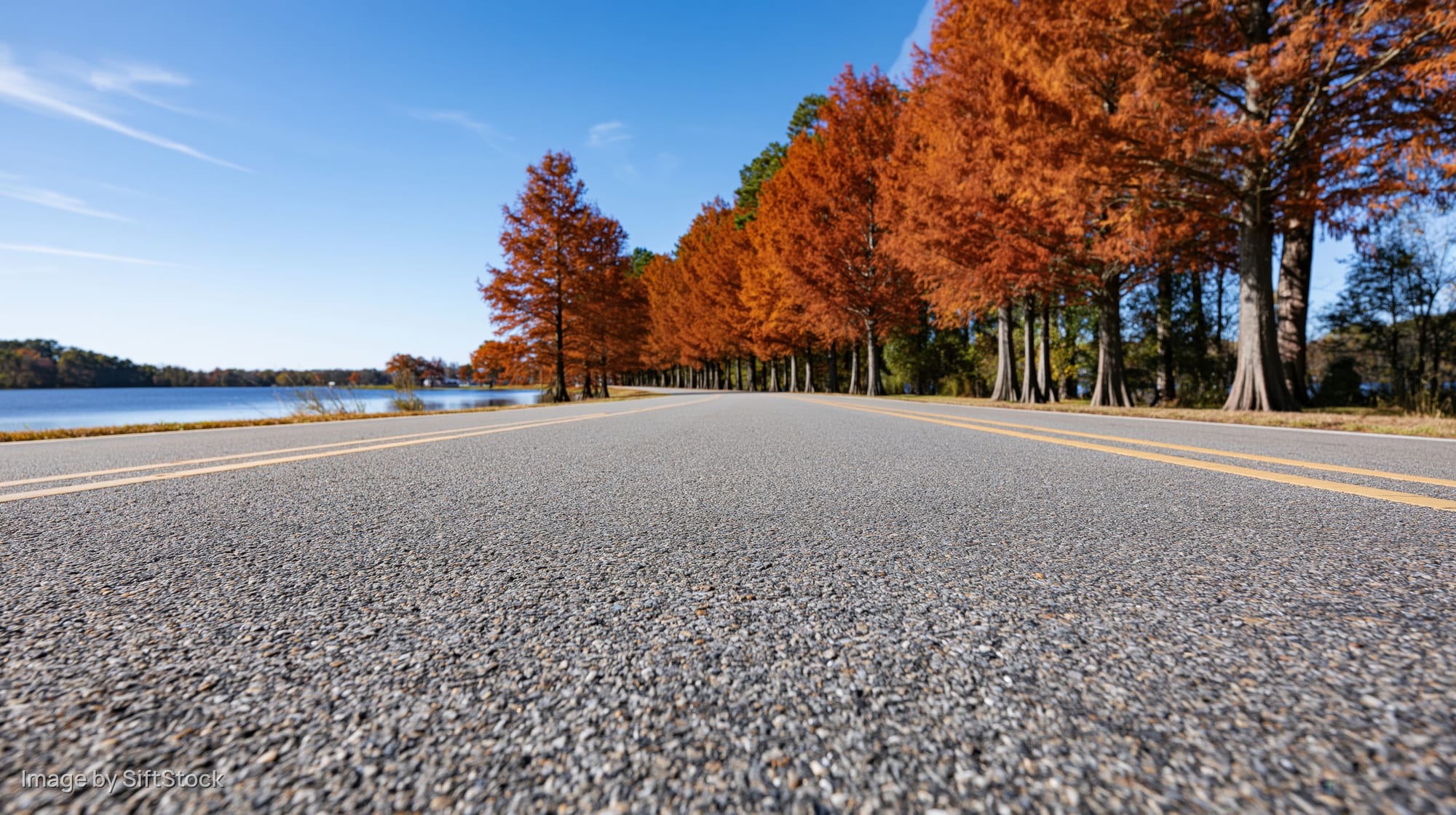 Empty two-lane asphalt road stretching alongside a grove of autumn-colored trees near a lake