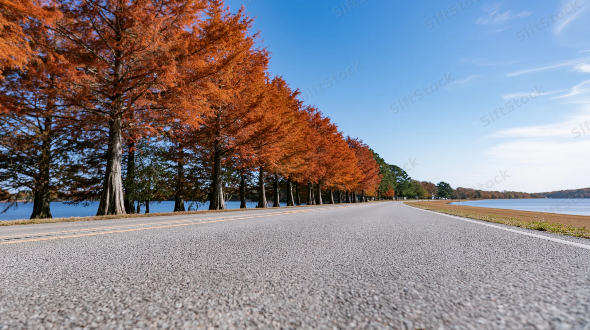 Straight asphalt road lined with orange autumn trees alongside a lake under a clear blue sky