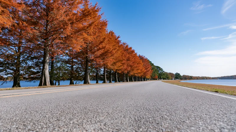 Straight asphalt road lined with orange autumn trees alongside a lake under a clear blue sky