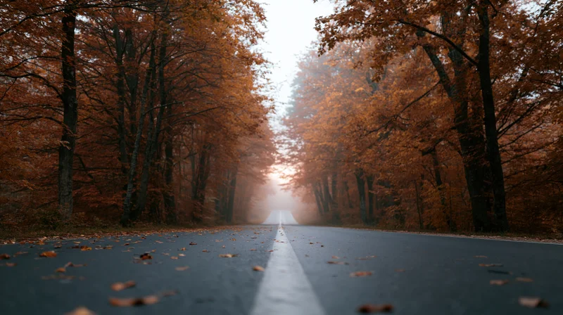 Straight asphalt road lined with autumn trees fading into fog