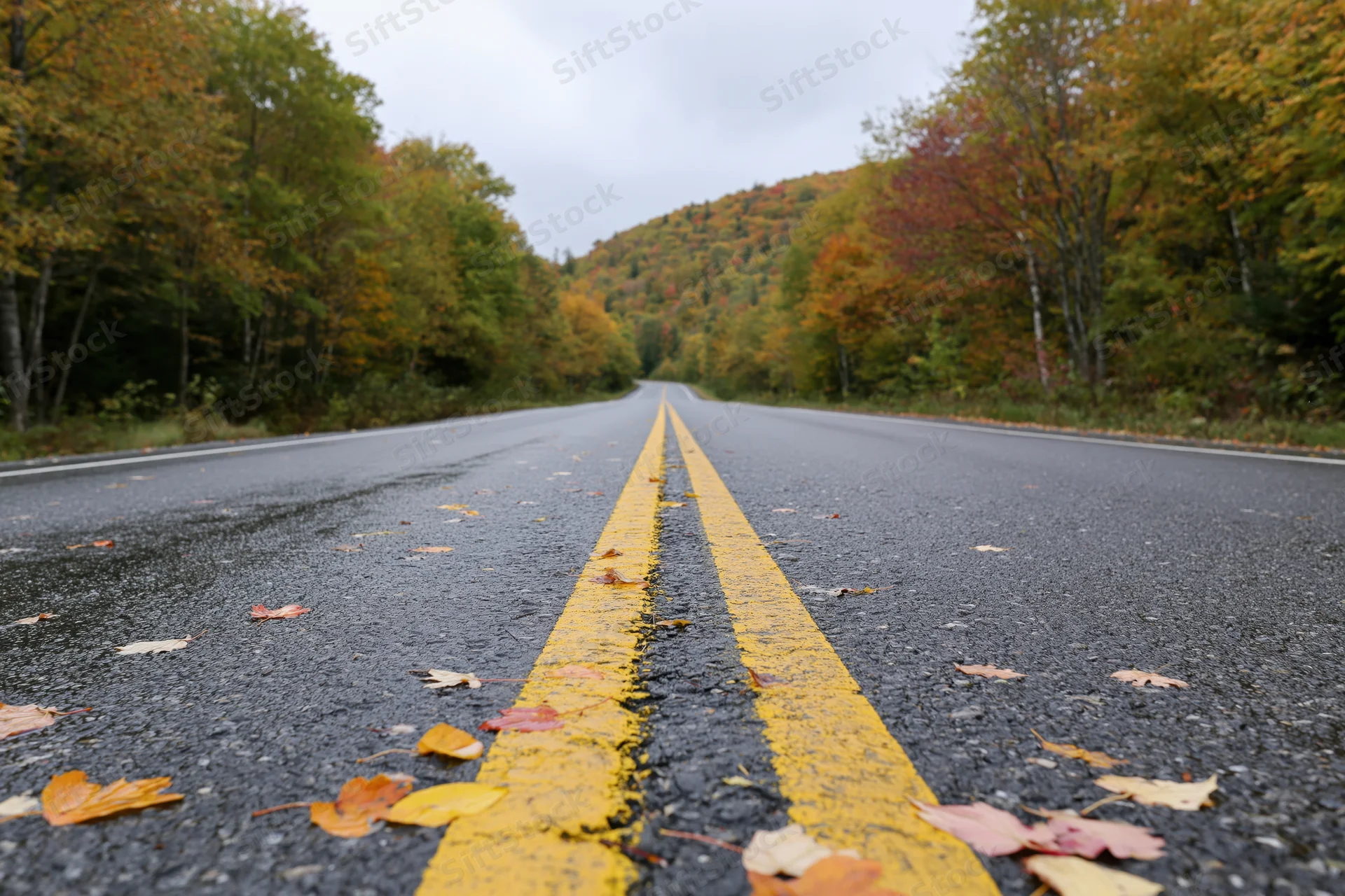 Empty two-lane asphalt road with double yellow line stretching into autumn forest landscape