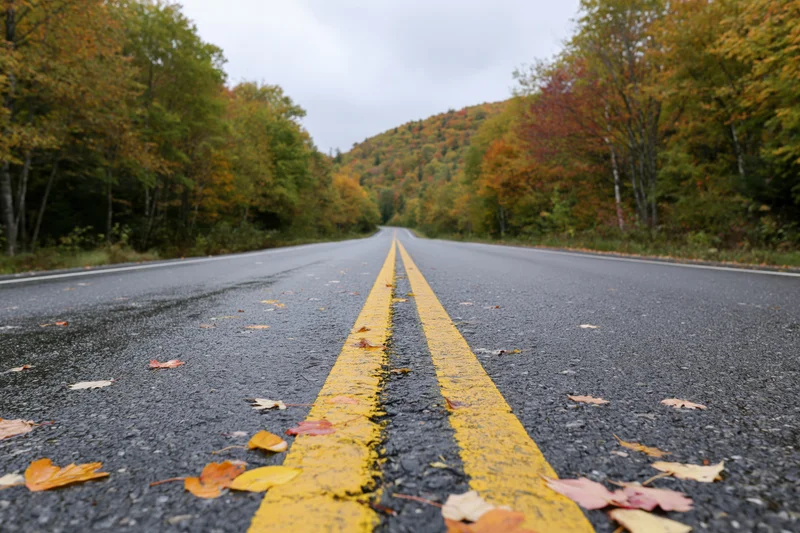 Empty two-lane asphalt road with double yellow line stretching into autumn forest landscape
