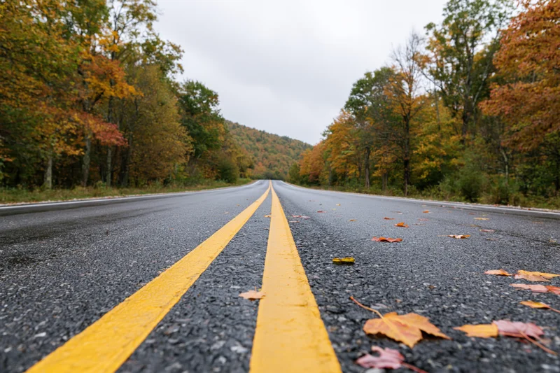 Straight asphalt road with double yellow lines stretching into autumn forest lined with colorful fall foliage