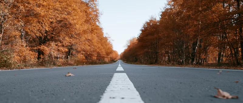 Straight asphalt road lined with autumn trees stretching to the horizon
