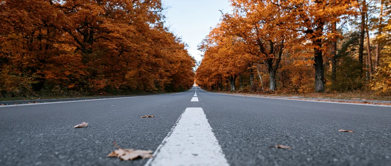 Straight asphalt road lined with orange autumn trees stretching to the horizon