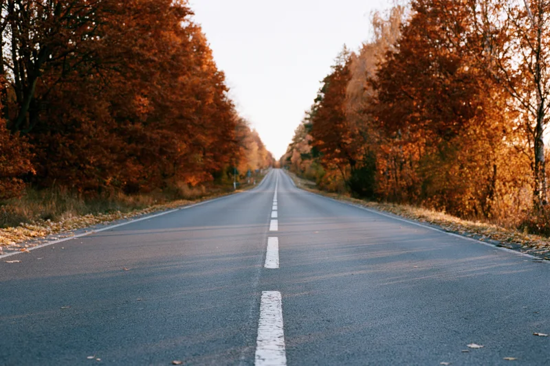 Straight asphalt road lined with autumn trees stretching to the horizon