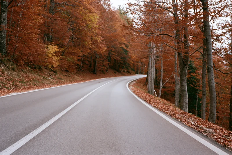 Winding asphalt road curving through autumn forest with colorful foliage and fallen leaves along the roadside