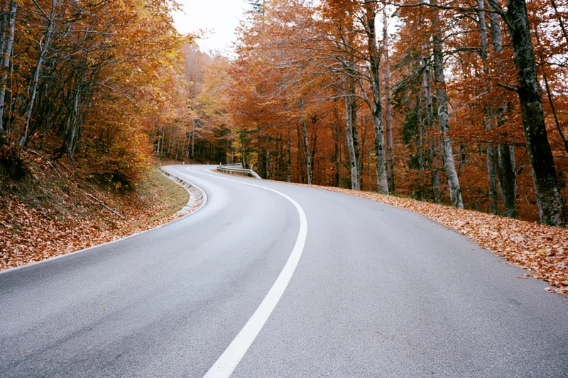 Winding asphalt road curving through autumn forest with fallen leaves on sides