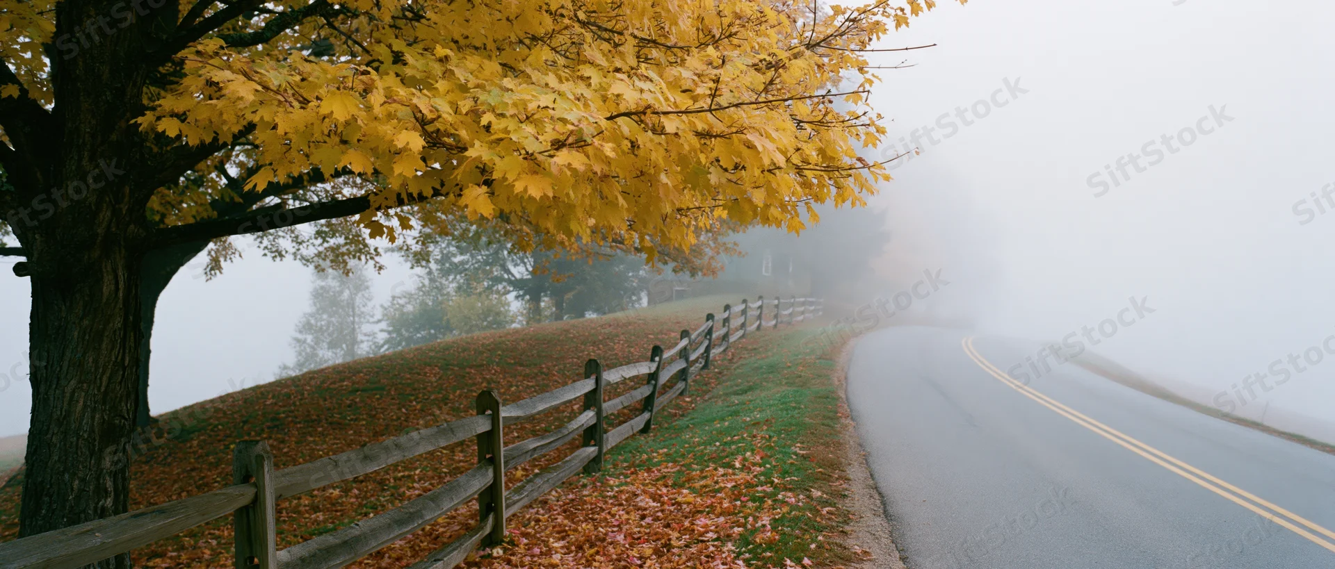 Winding country road curving into dense fog beside a yellow-leafed tree and wooden fence