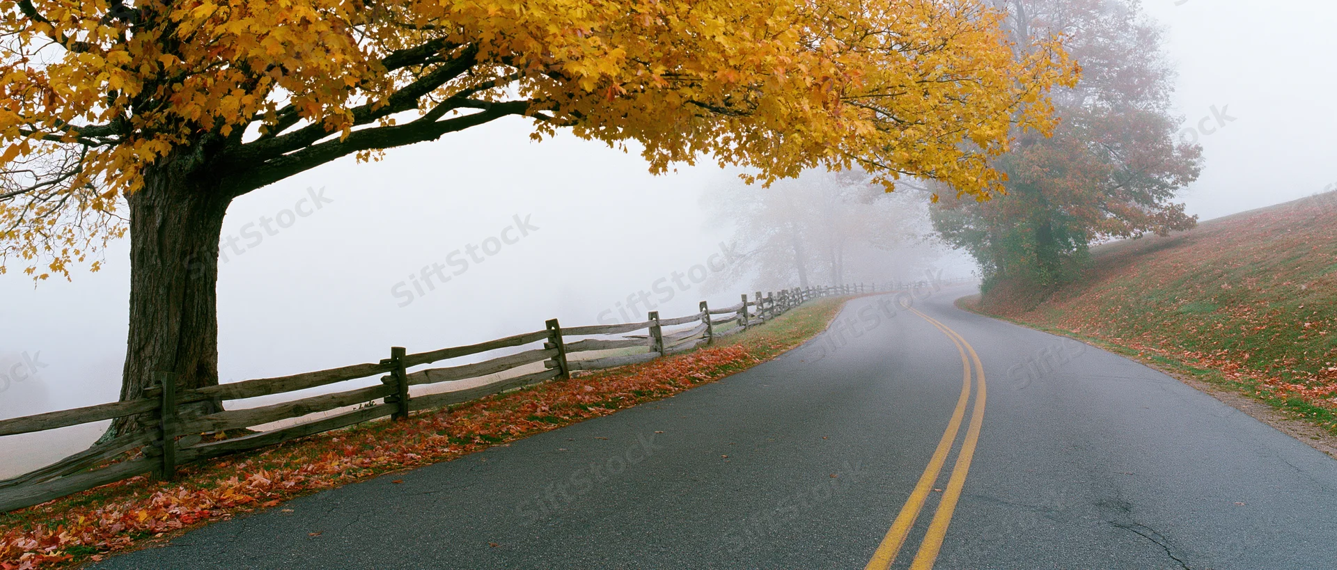 Winding country road curving into dense morning fog lined with autumn trees and wooden fence