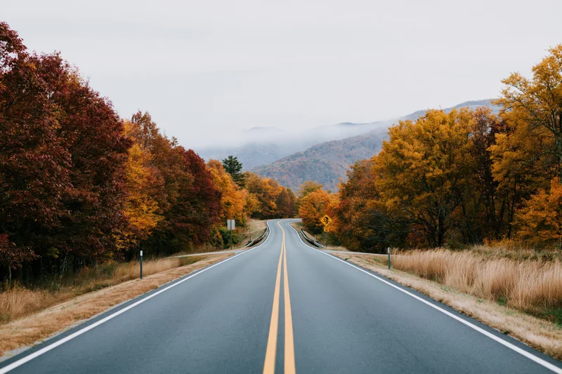 Winding two-lane highway through autumn forest toward misty mountains