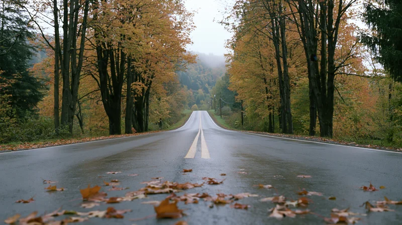 Wet two-lane rural road lined with autumn trees stretching into misty distance