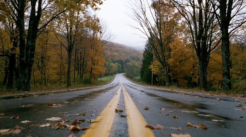 Wet two-lane rural road stretching straight into the distance lined with autumn trees