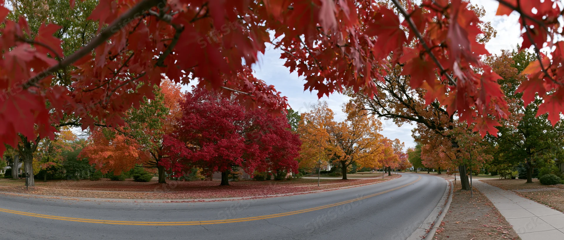 Curved suburban road lined with trees displaying red and orange autumn foliage