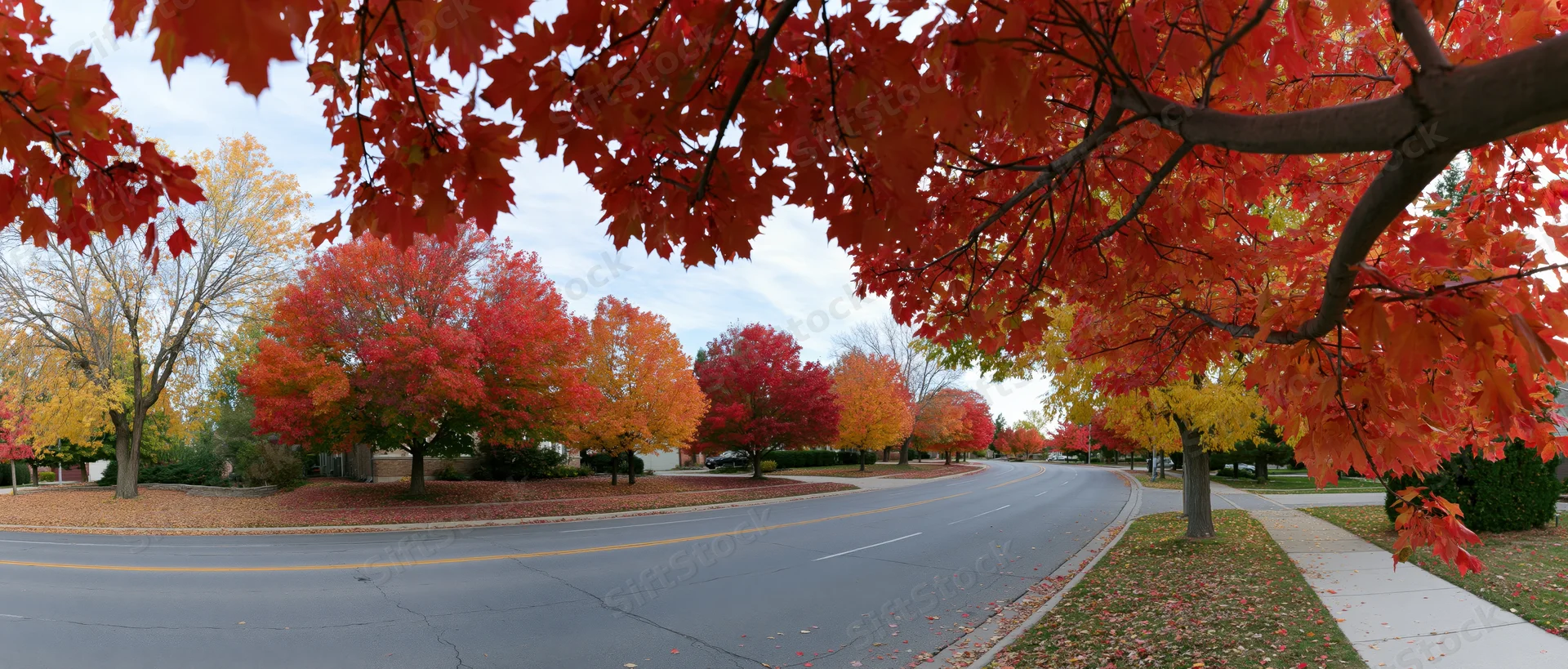 Curved suburban road lined with autumn trees displaying red orange and yellow foliage under a leafy canopy