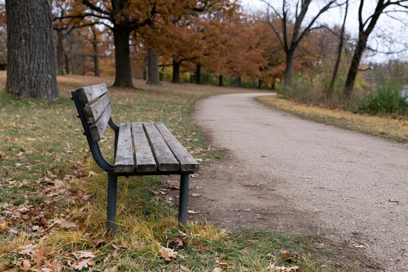 Weathered wooden bench beside gravel path in autumn park