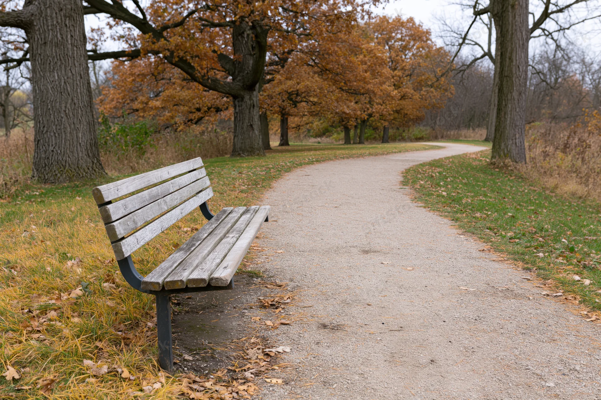 Weathered wooden bench beside a gravel path in an autumn park