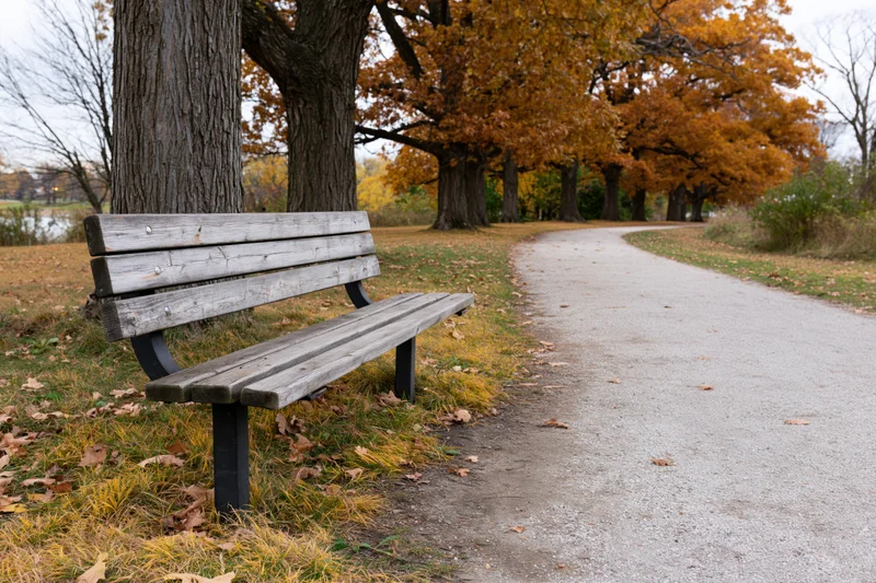 Weathered wooden bench beside a gravel path in an autumn park