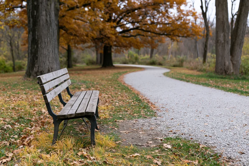 Weathered wooden bench beside a gravel path in an autumn park