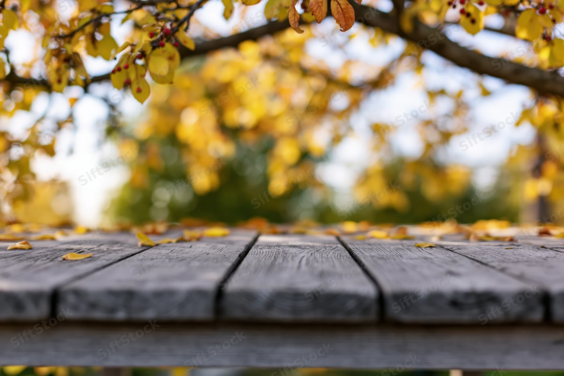 Weathered wooden table surface in autumn garden with yellow leaves and blurred foliage background