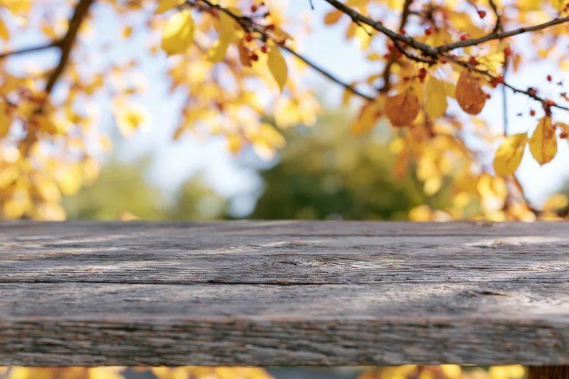 Weathered wooden plank surface in foreground with autumn foliage blurred behind
