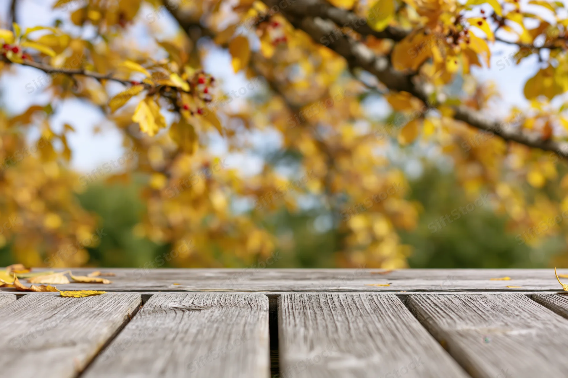 Weathered wooden table surface in foreground with autumn foliage blurred in background