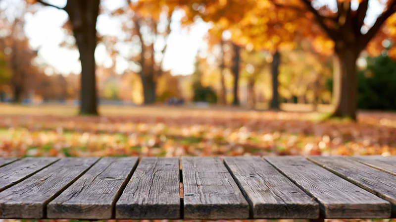 Weathered wooden table surface in a park with autumn trees and fallen leaves in the background