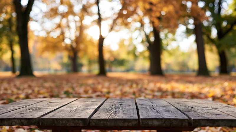 Weathered wooden table surface in a park with autumn foliage in the background