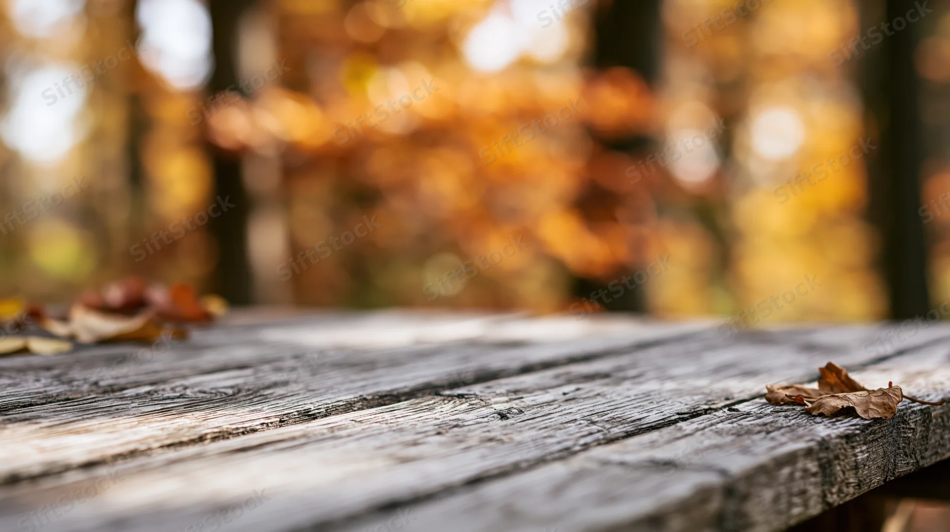 Weathered wooden table surface in a forest with autumn leaves and blurred foliage in the background
