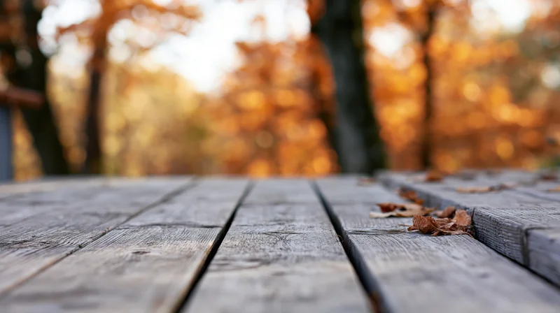 Weathered wooden table surface in a forest with autumn foliage in the background