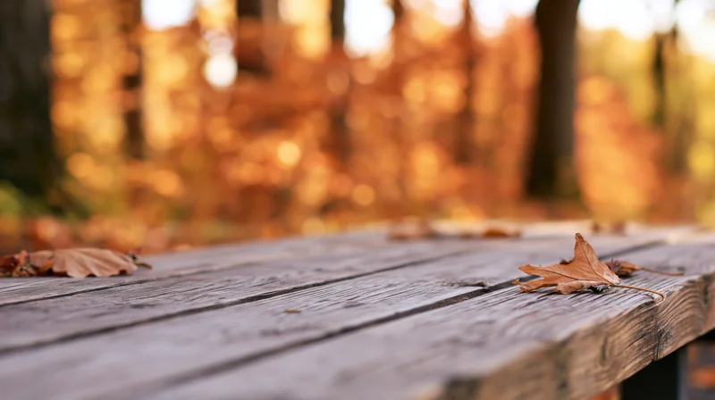 Weathered wooden table surface with autumn leaves in a forest setting