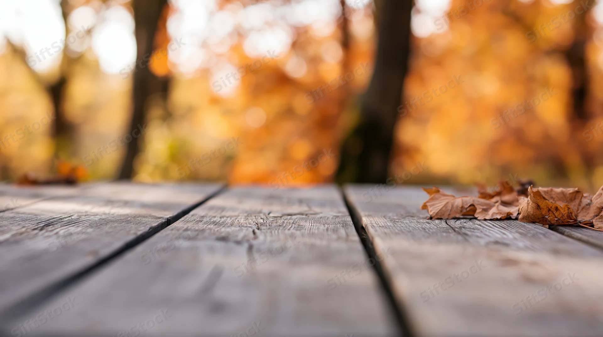 Weathered wooden plank table surface in an autumn forest with fallen leaves and blurred trees in the background