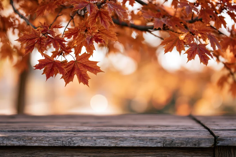 Weathered wooden table surface in foreground with autumn maple leaves above